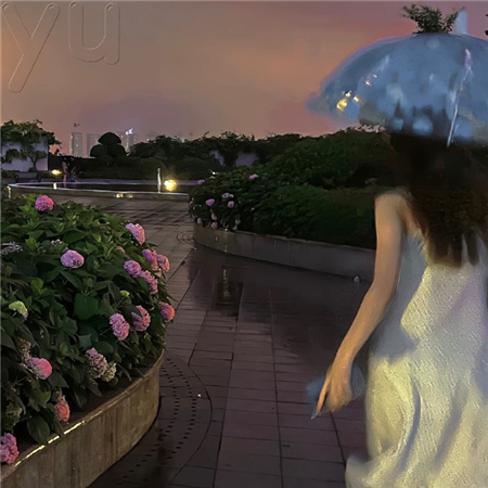 上海龙凤花坛：花坛的探索，发现大自然的宝藏秘密 - 上海龙凤419