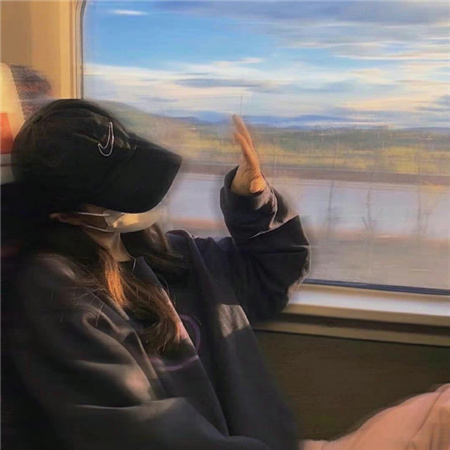 上海龙凤花坛：花坛的姿态，揭示花朵们绽放的优雅之美 - 上海龙凤419