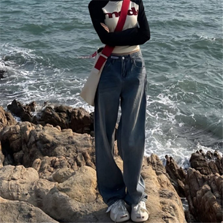 上海龙凤花坛：如何选择适合办公室的迷你花坛？ - 上海龙凤419