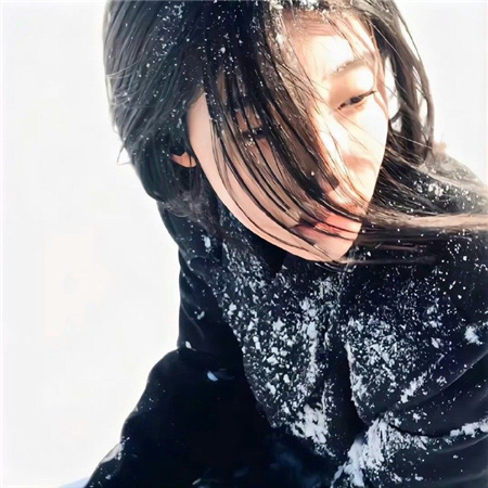 上海千花论坛：千花争艳，瑰丽无比