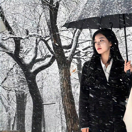 上海千花论坛：千花竞艳，花香中的奇妙变幻