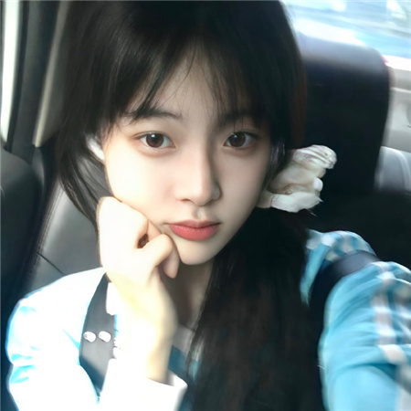 上海后花园爱上海：上海绿化计划，美化城市环境